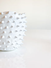 Load image into Gallery viewer, Spiked Planter - 2 sizes
